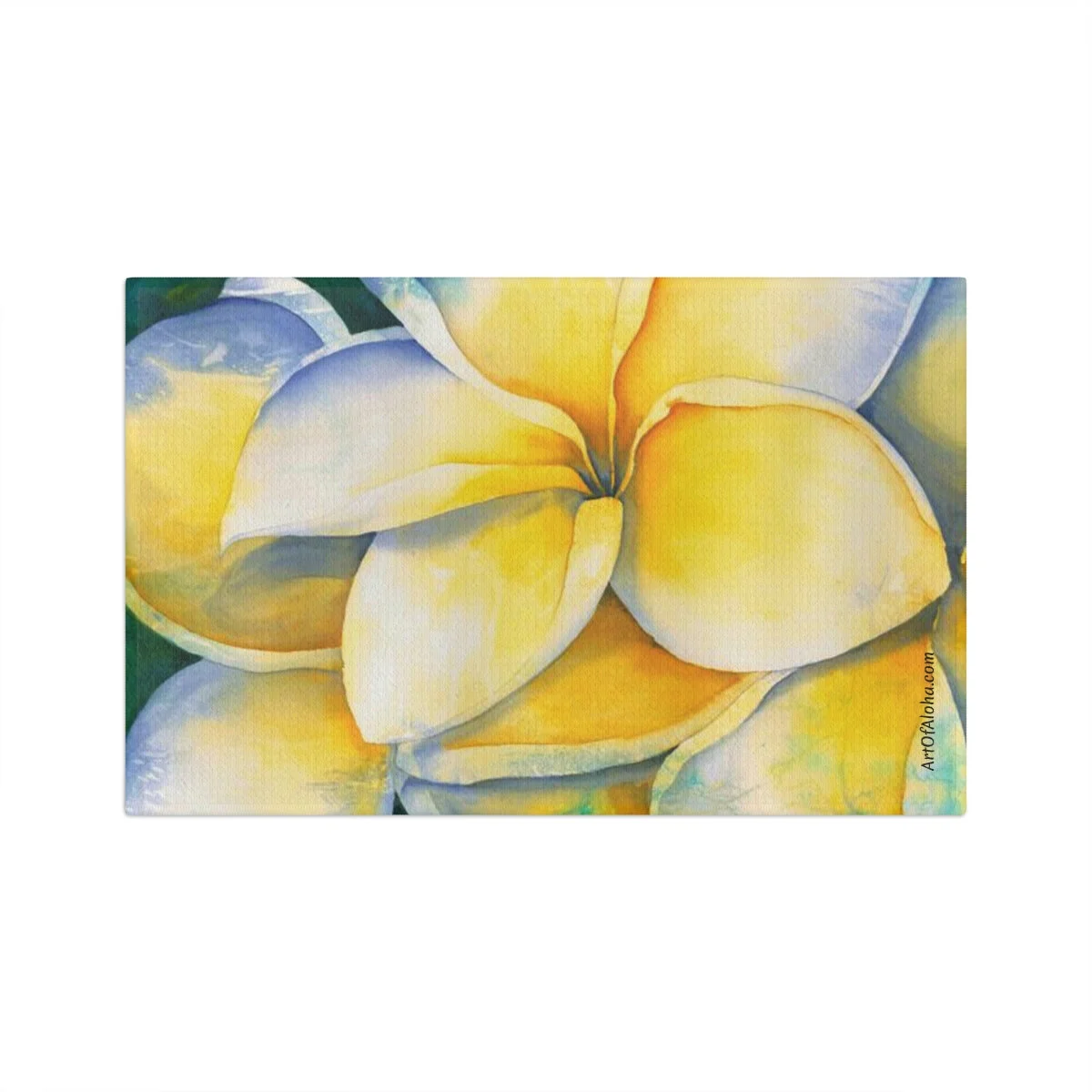 1d2ea2094f04f6d05b9ab3145f5f8496