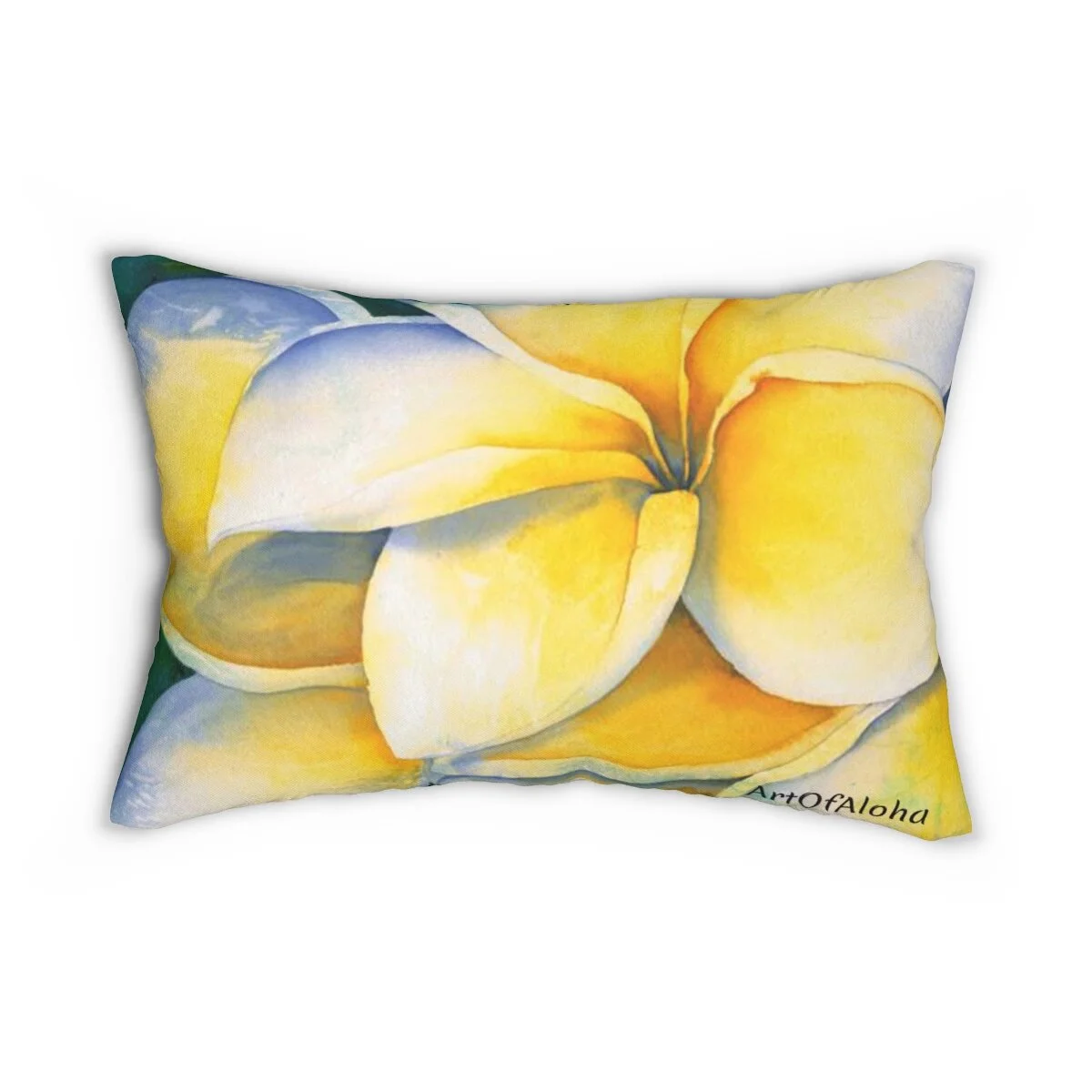 966d3737cf057ed45b6387dde47e2ec6