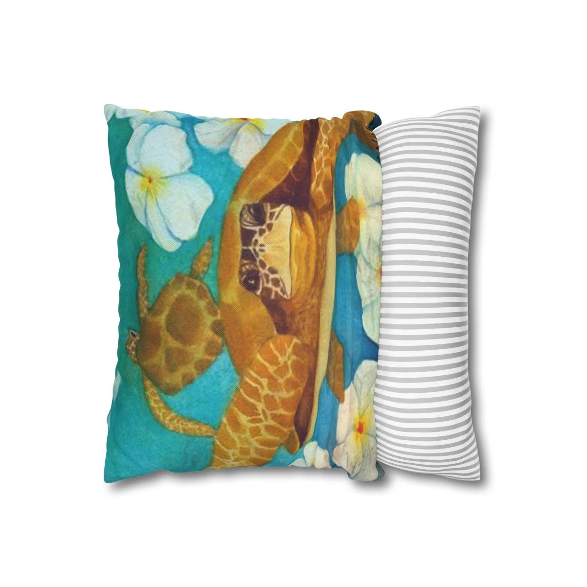 58ba0ced6c0ae74072b714644e7b2d76