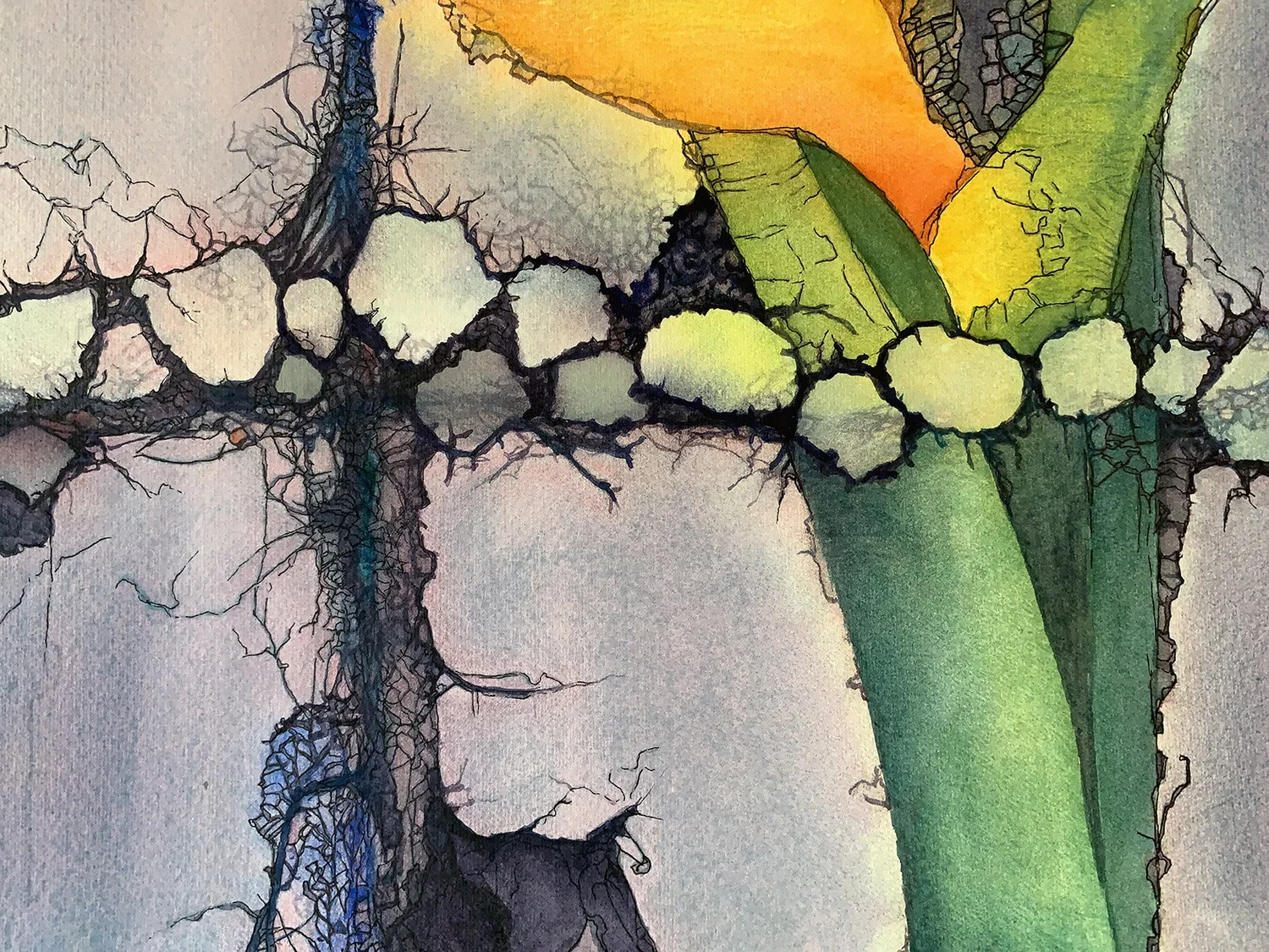 Things that I'm noticing …