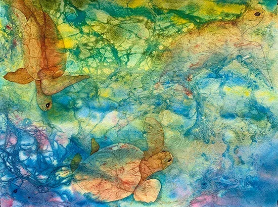 Stretch Your Comfort Zone