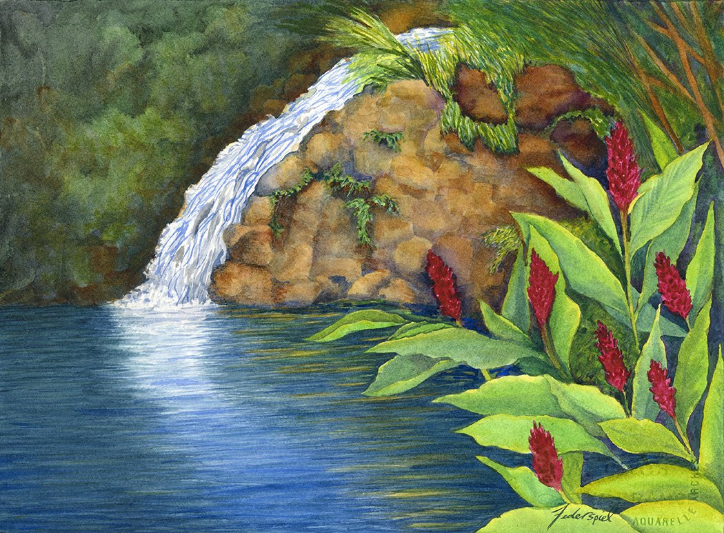 Federspiel Waimea Falls.jpg