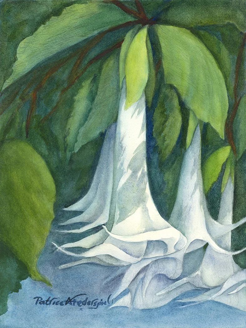 Angel Trumpet Flowers
