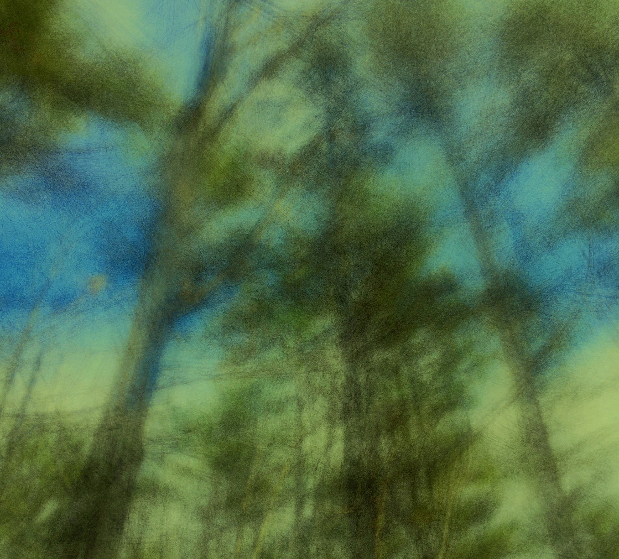 blurphoto.jpg