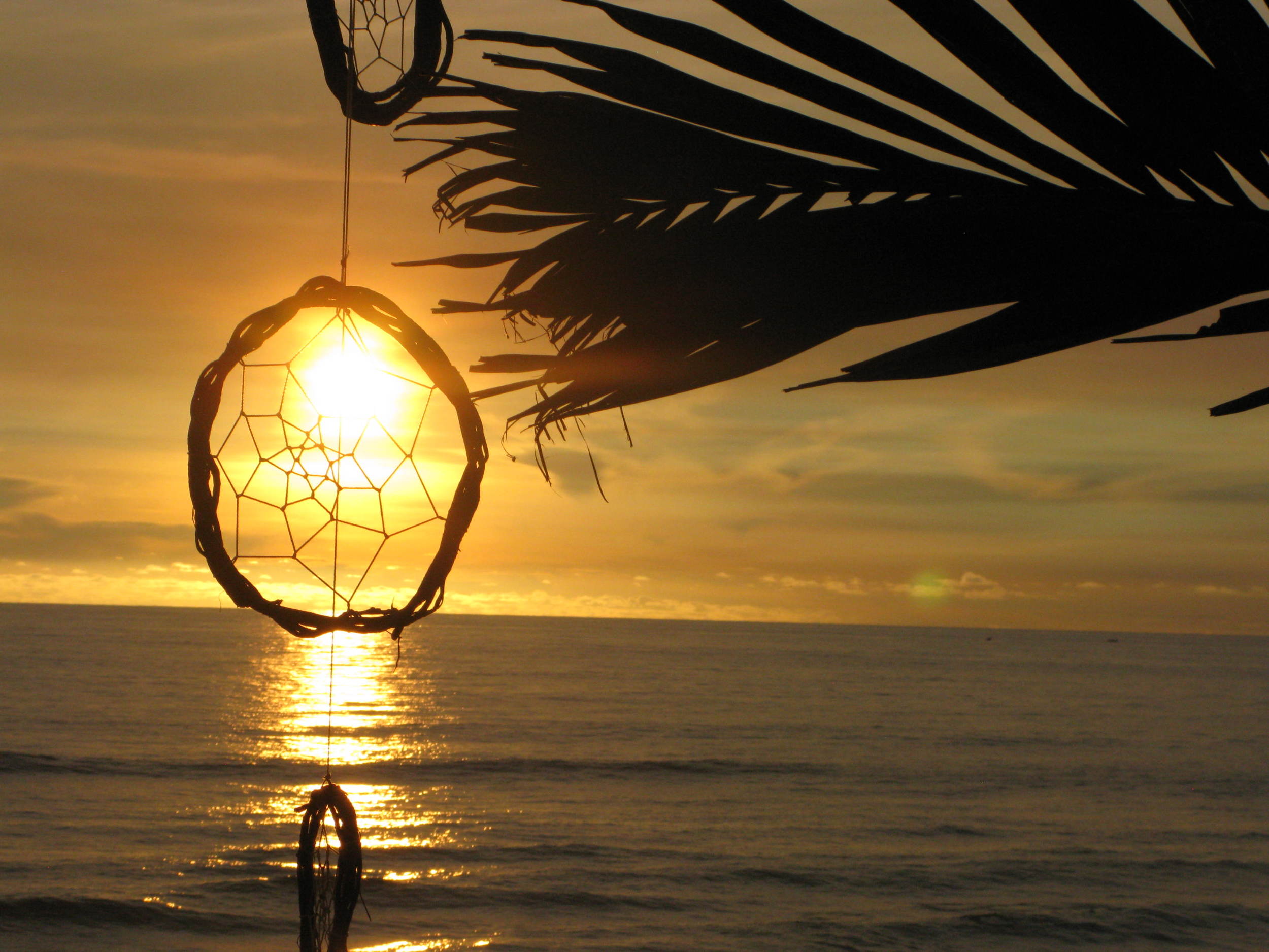 Pacific Dreaming
