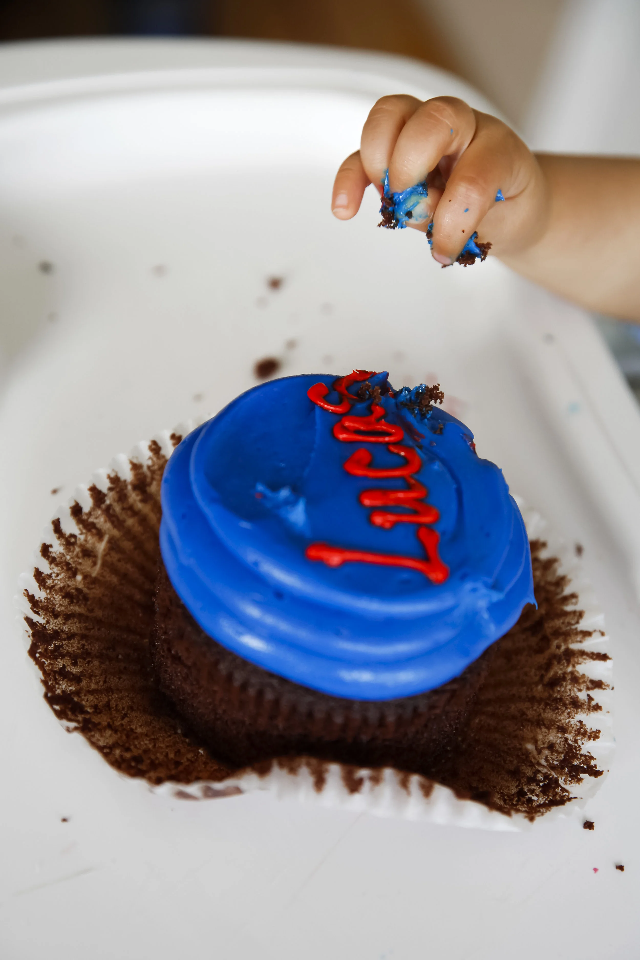 lucas1stbirthday-ahp-00057.jpg