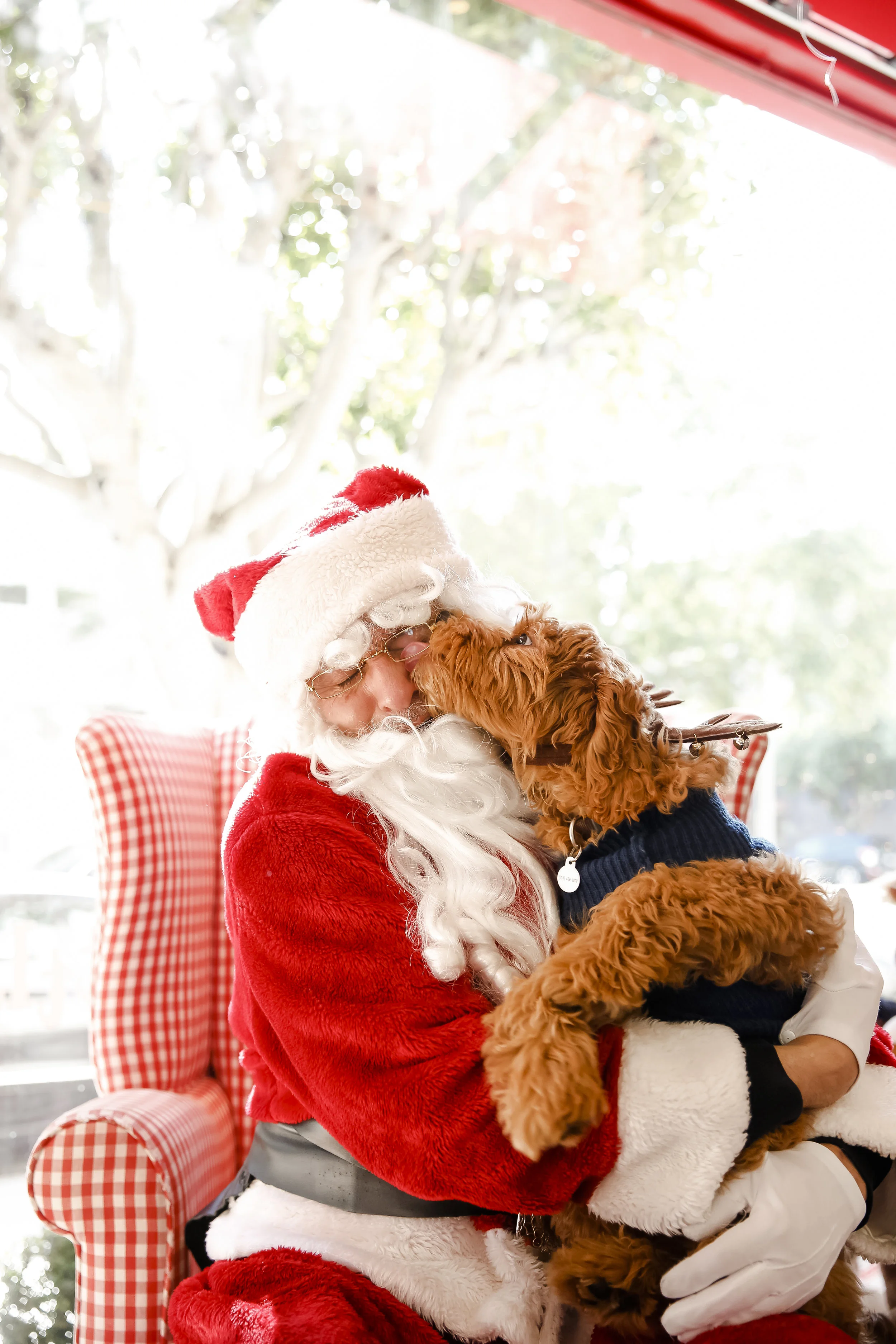 dottiedoolittlesanta2018-ahp-00166.jpg