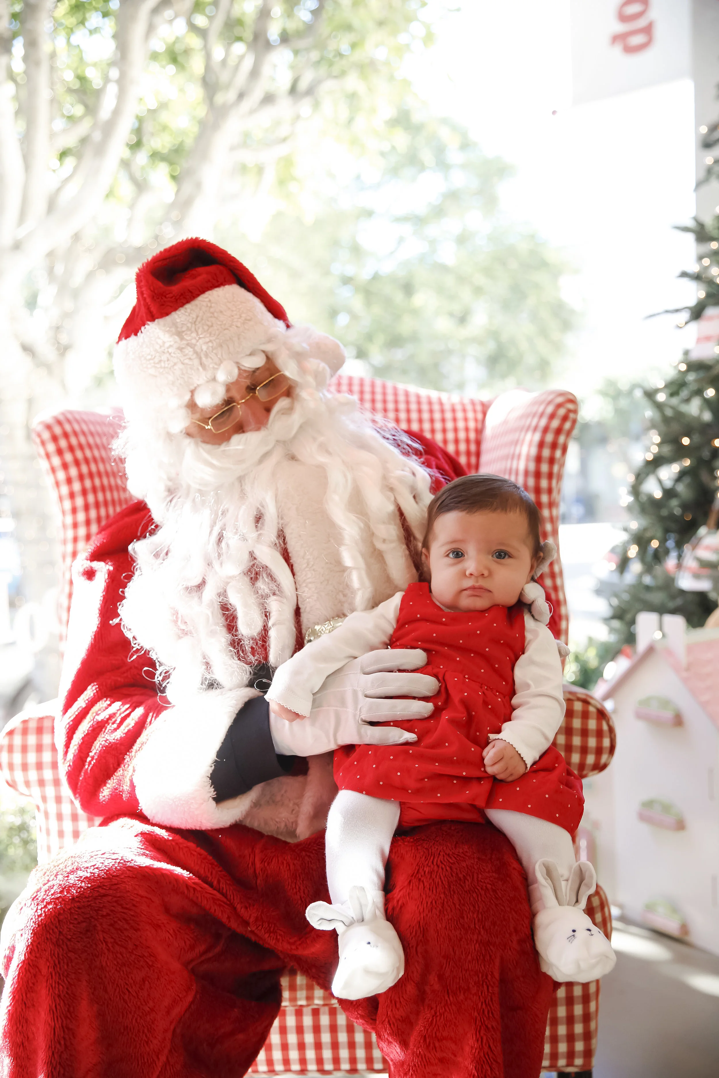 dottiedoolittlesanta2018-ahp-00040.jpg
