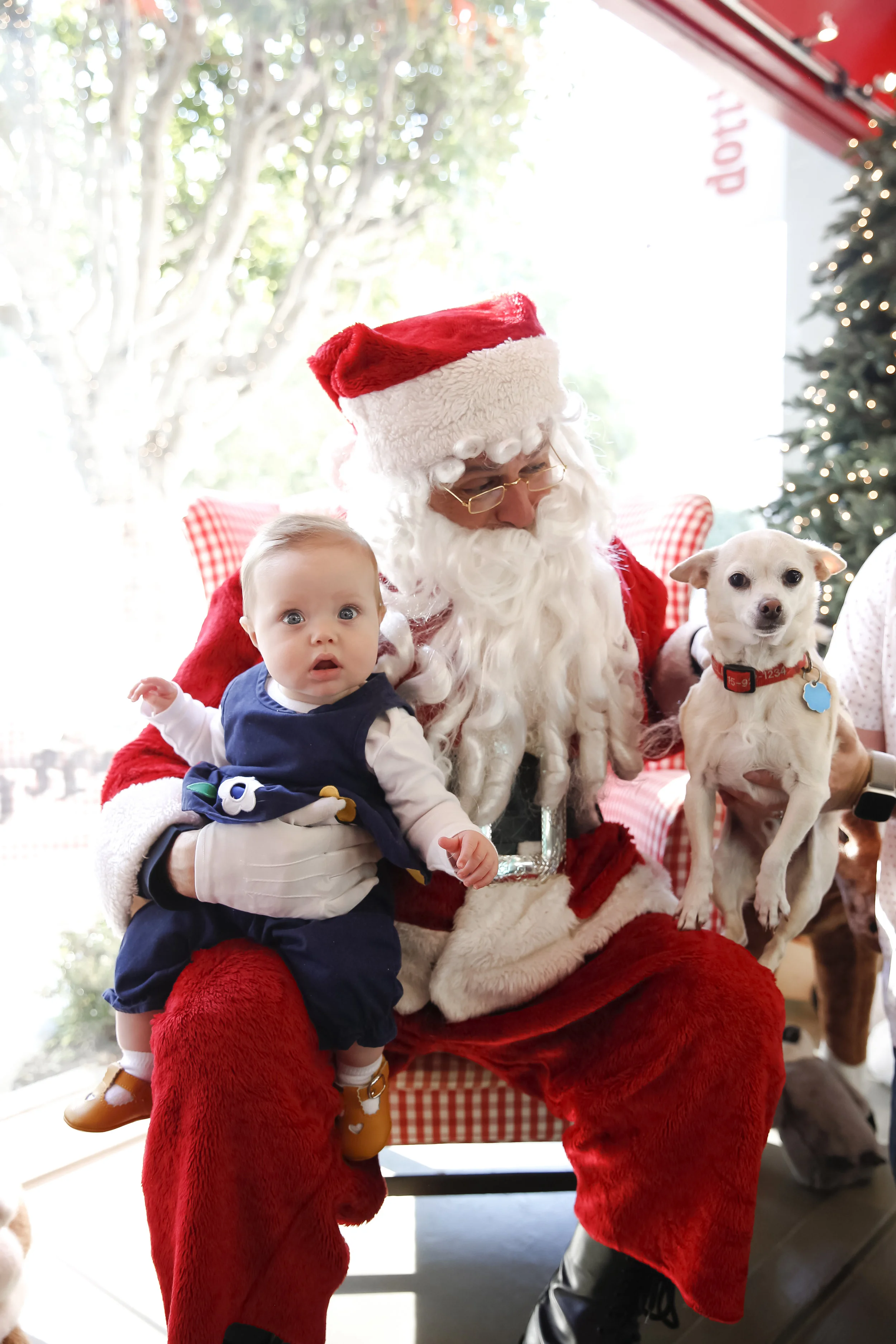 dottiedoolittlesanta2018-ahp-00116.jpg