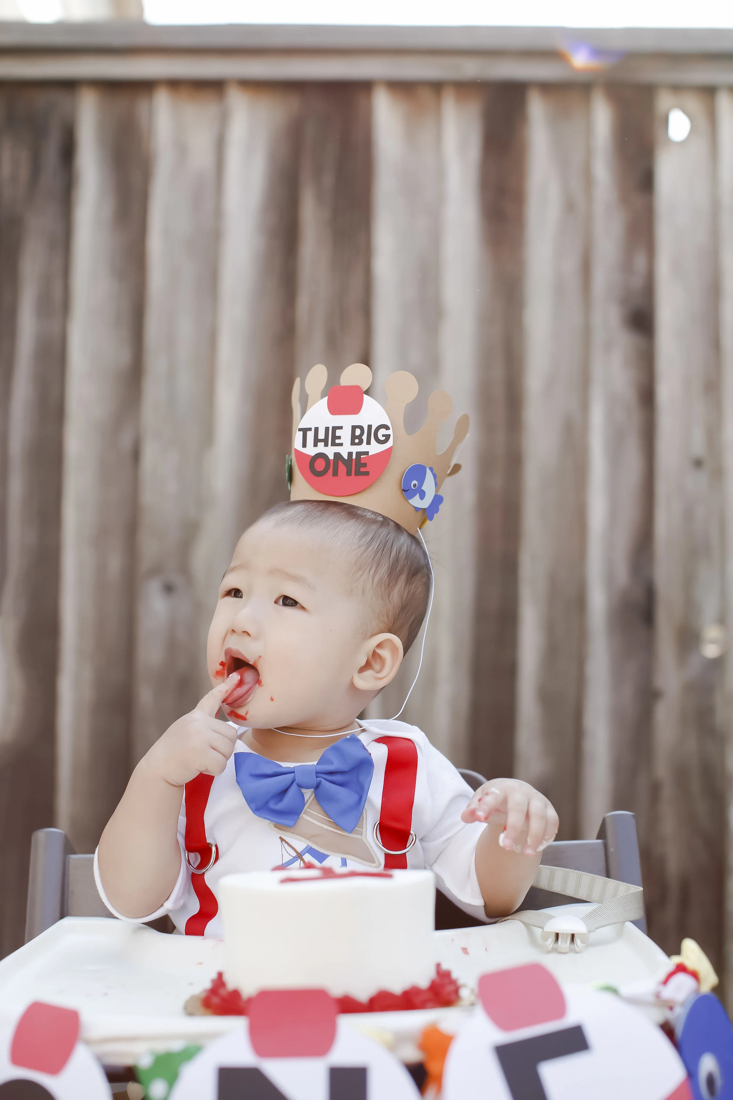mason1stbirthday-ahp-00262.jpg
