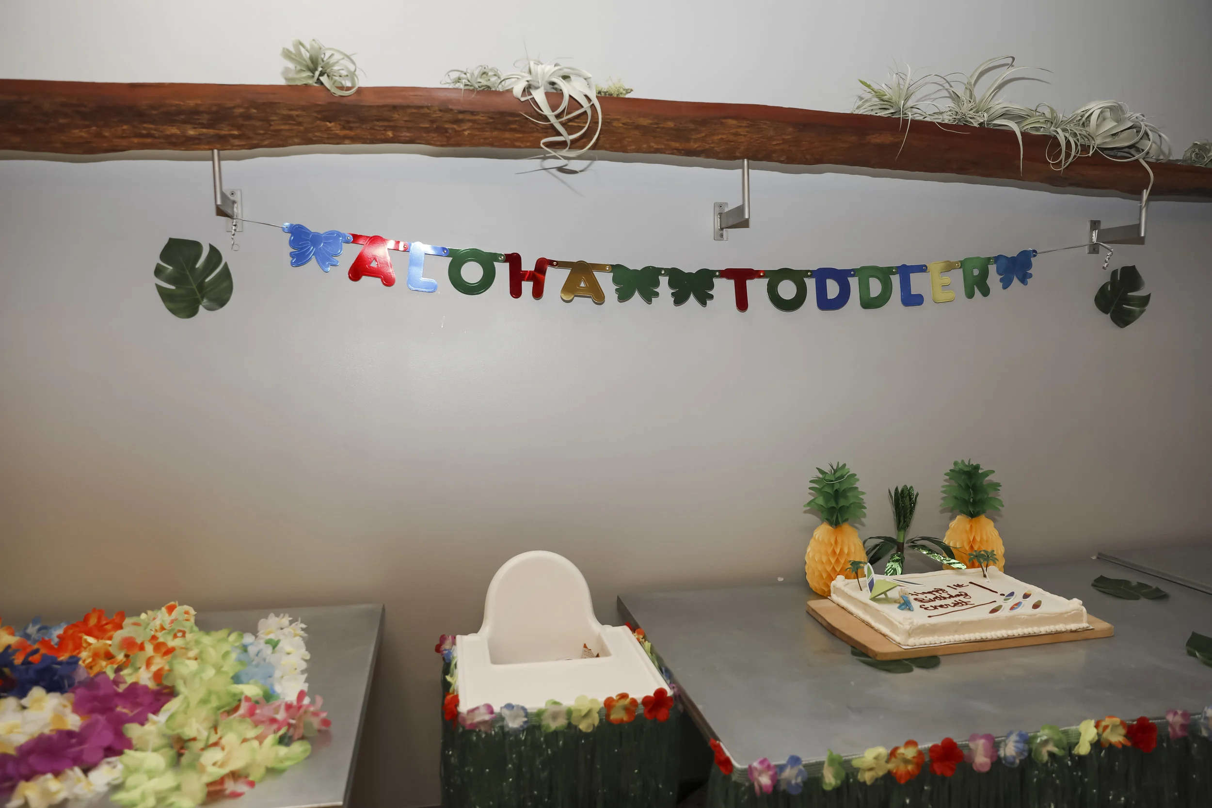 everett1stbirthday-ahp-00008.jpg