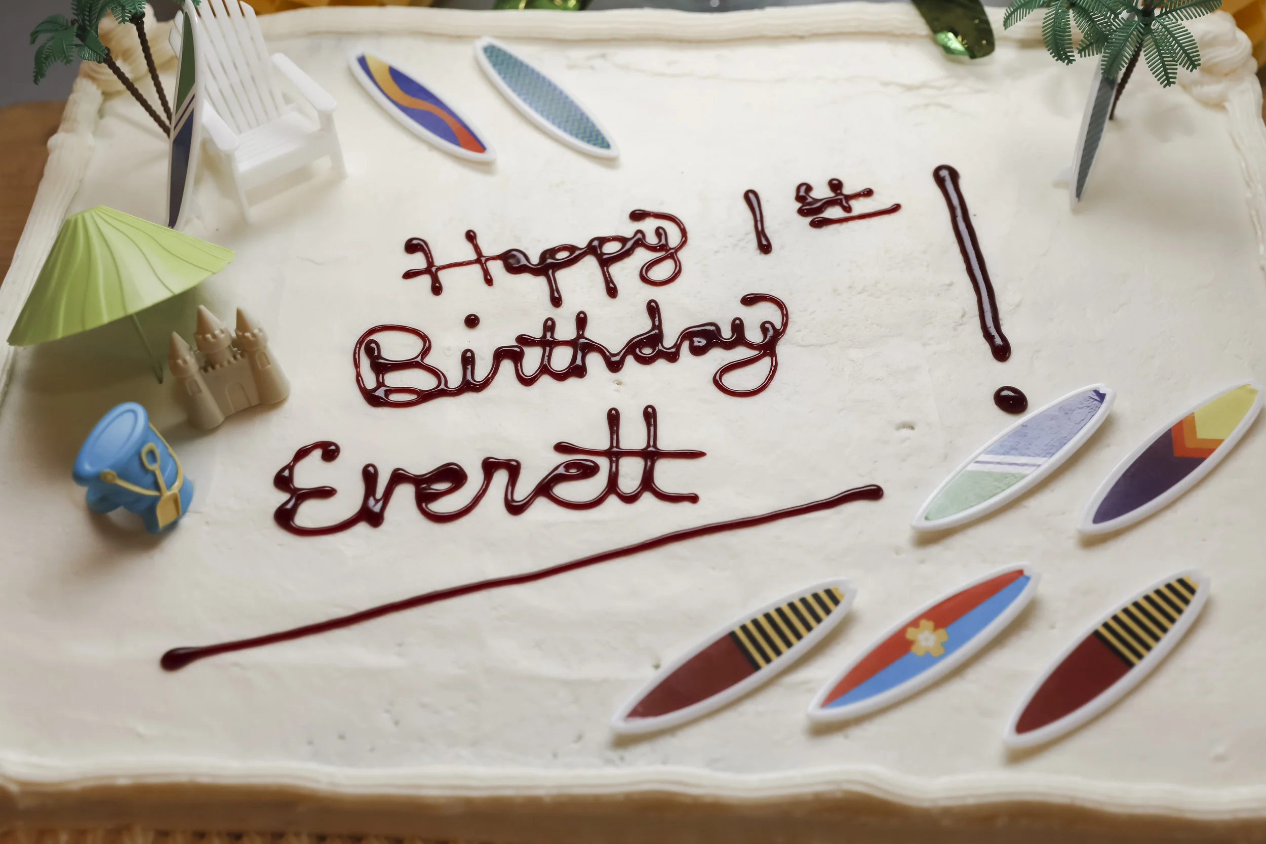everett1stbirthday-ahp-00010.jpg