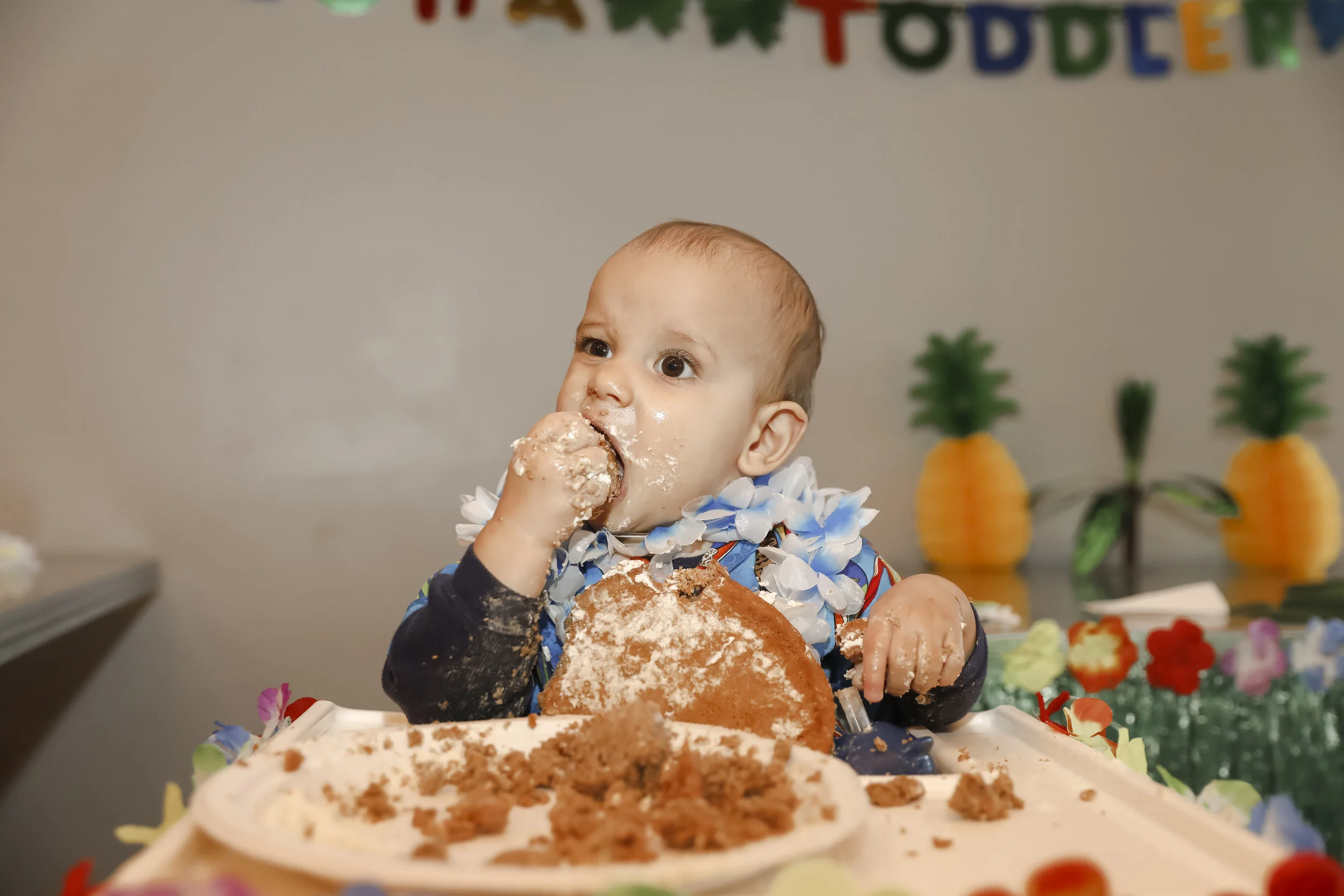 everett1stbirthday-ahp-00237.jpg