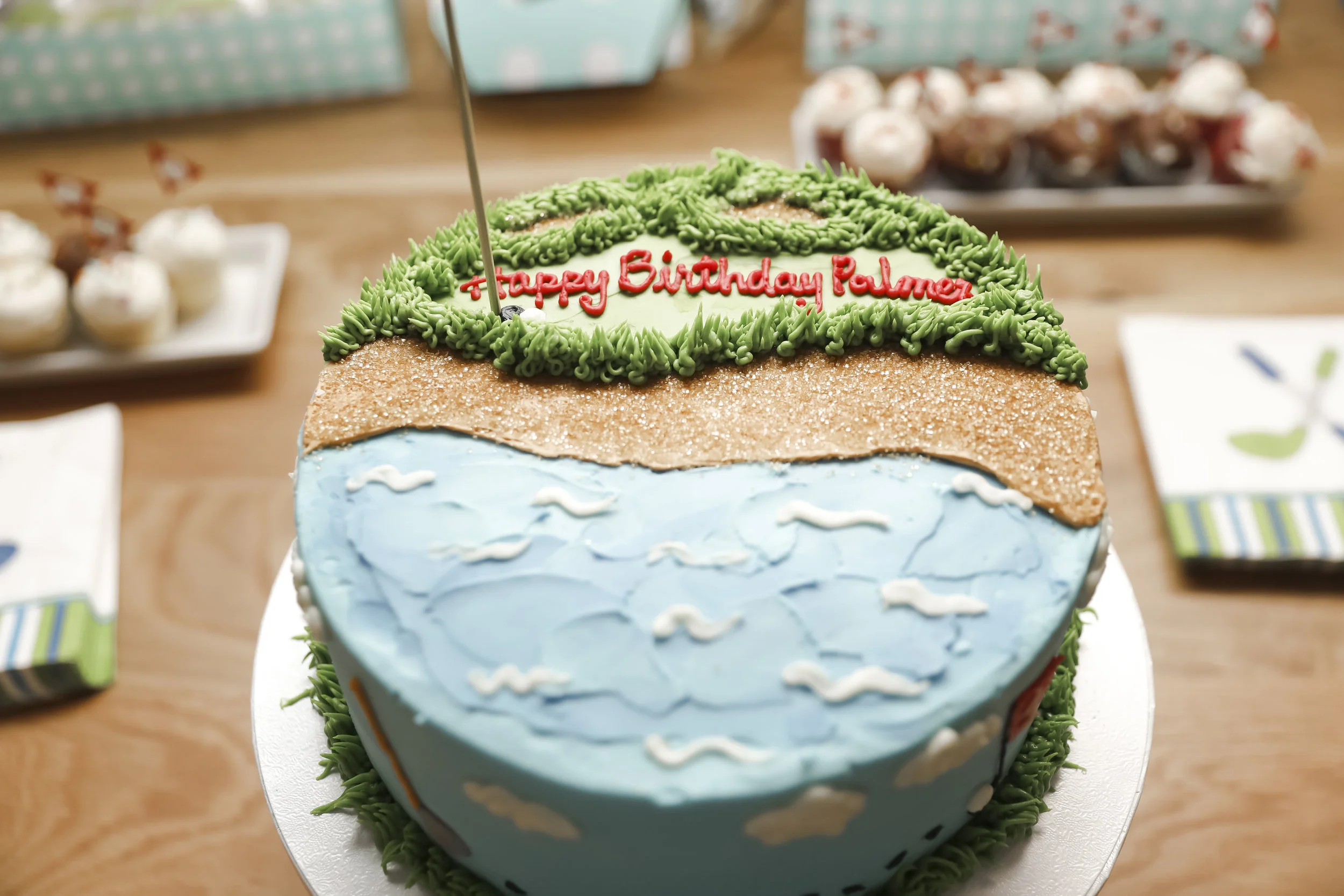 palmer1stbirthday-ahp-00197.jpg