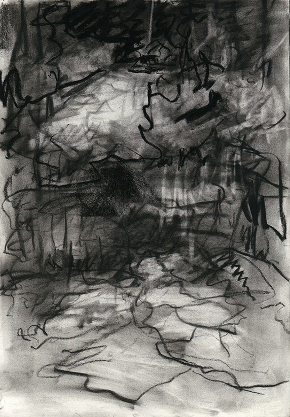 Drawing1semGrad004_WEB.jpg