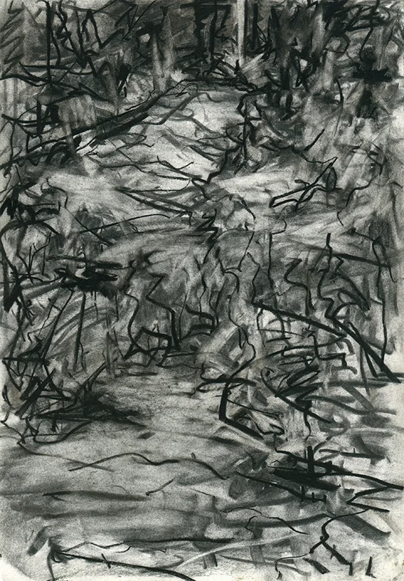Drawing1semGrad012_WEB.jpg