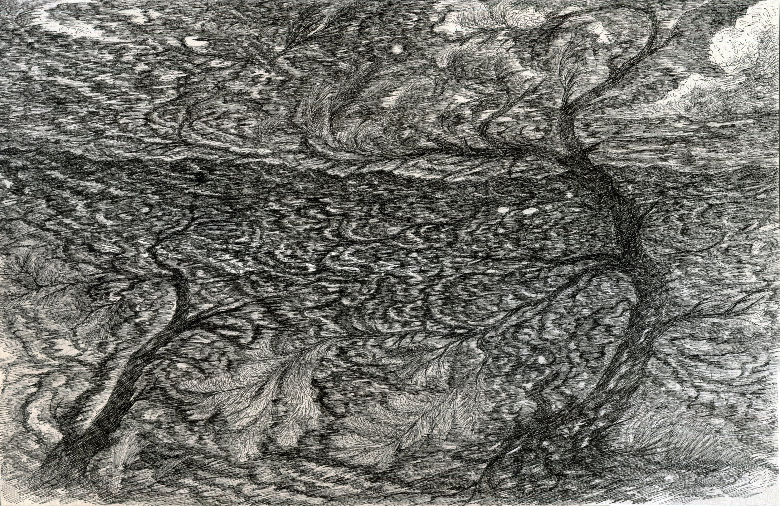   Ink on paper, 20 × 13 inches, 2025 