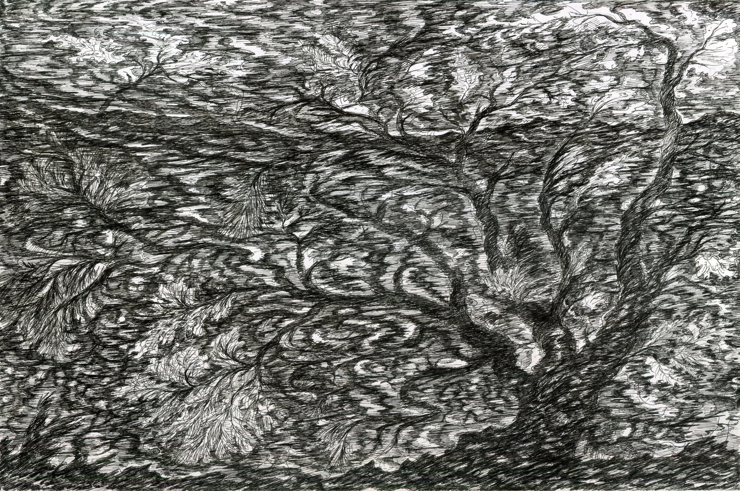   Ink on cardstock, 17 × 11 inches, 2025 