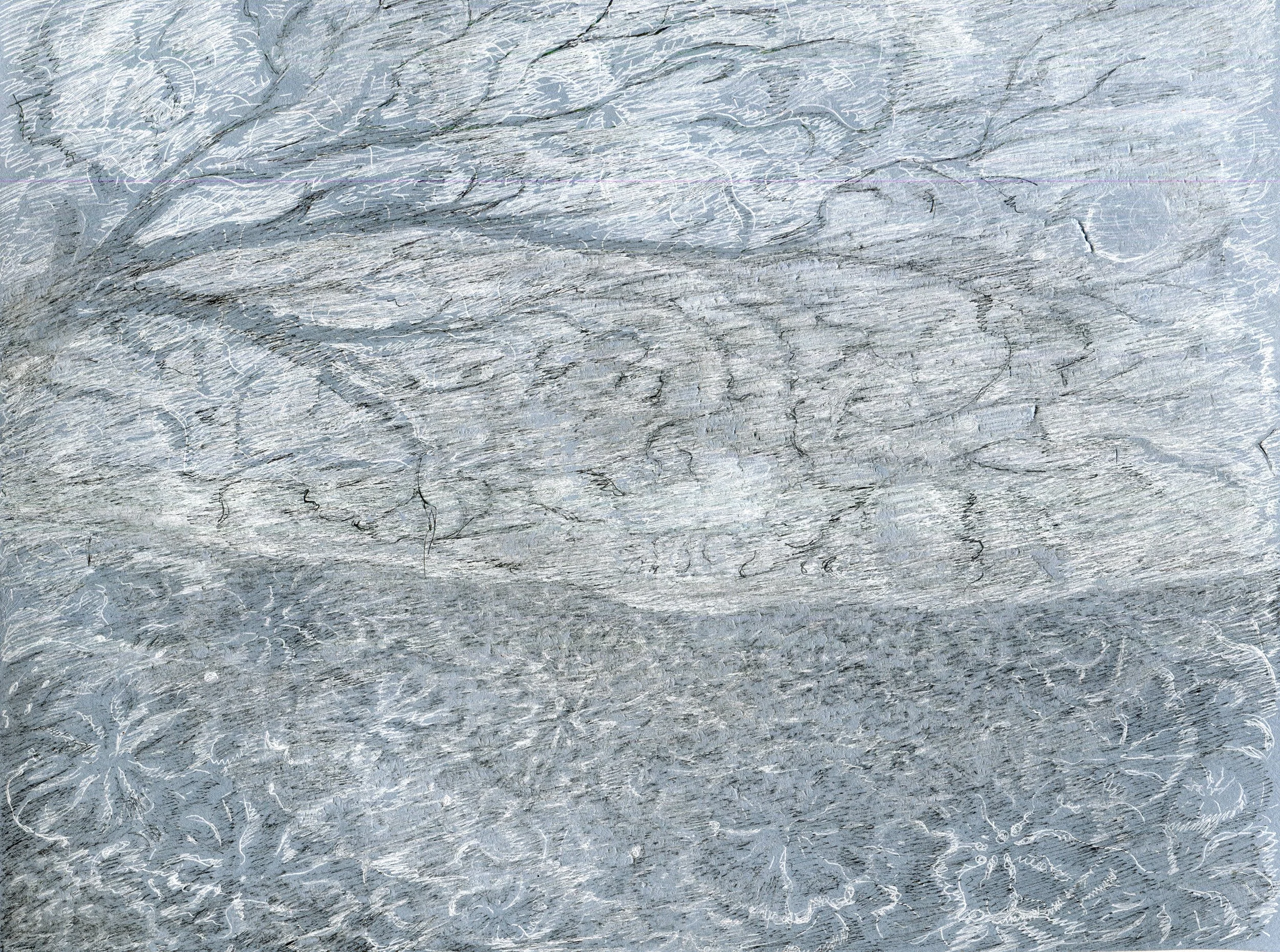   Ink on blue paper, 11 × 7 3/4 inches, 2025 