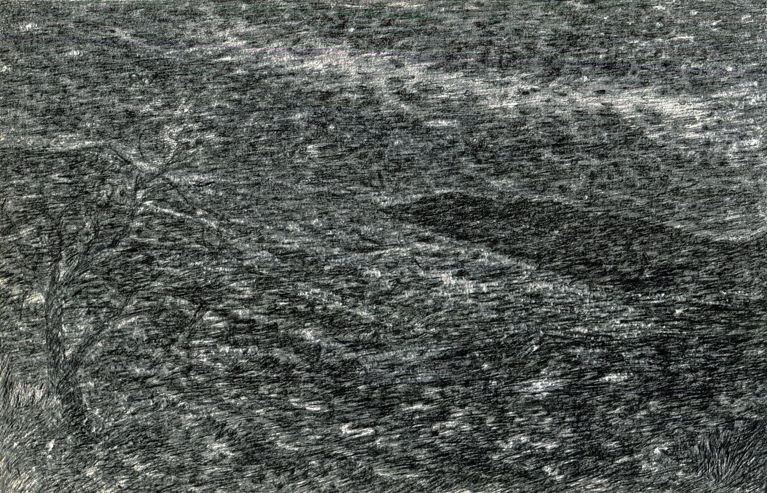   Ink on paper, 8 7/8 × 5 3/4 inches, 2025 