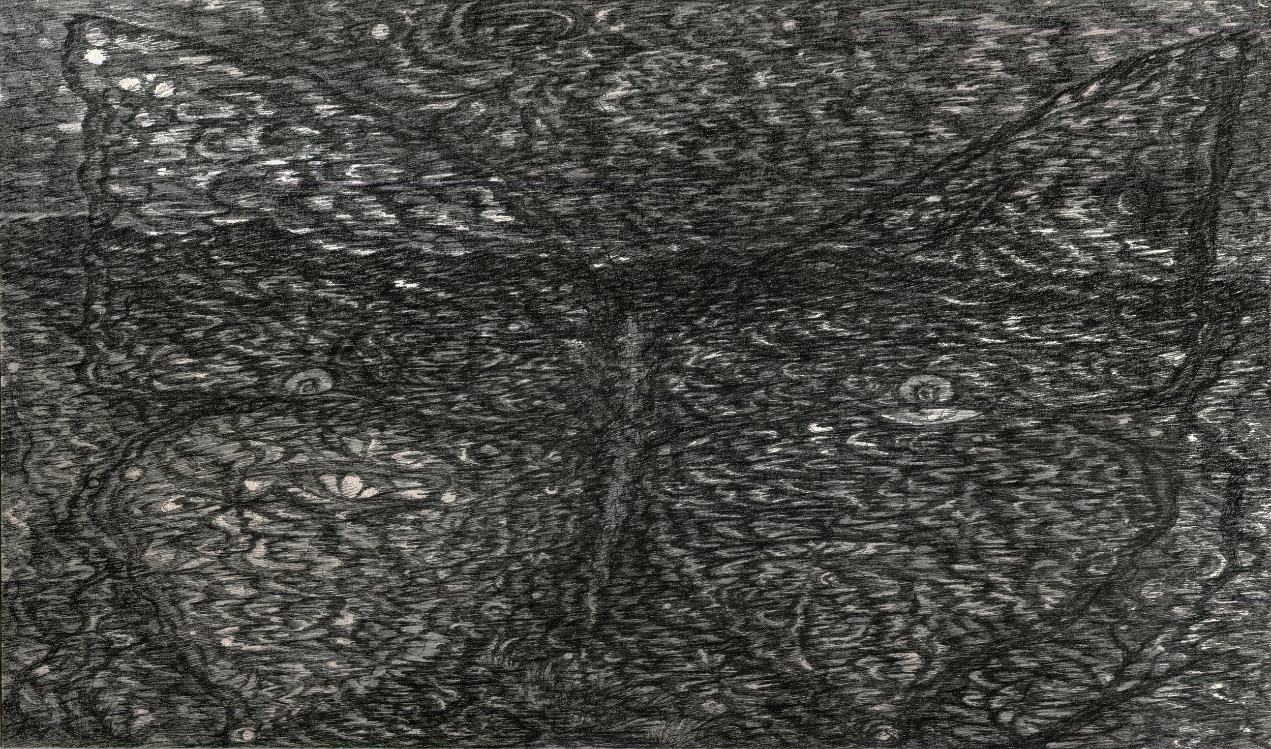   Ink on paper, 20 × 13 inches, 2025 