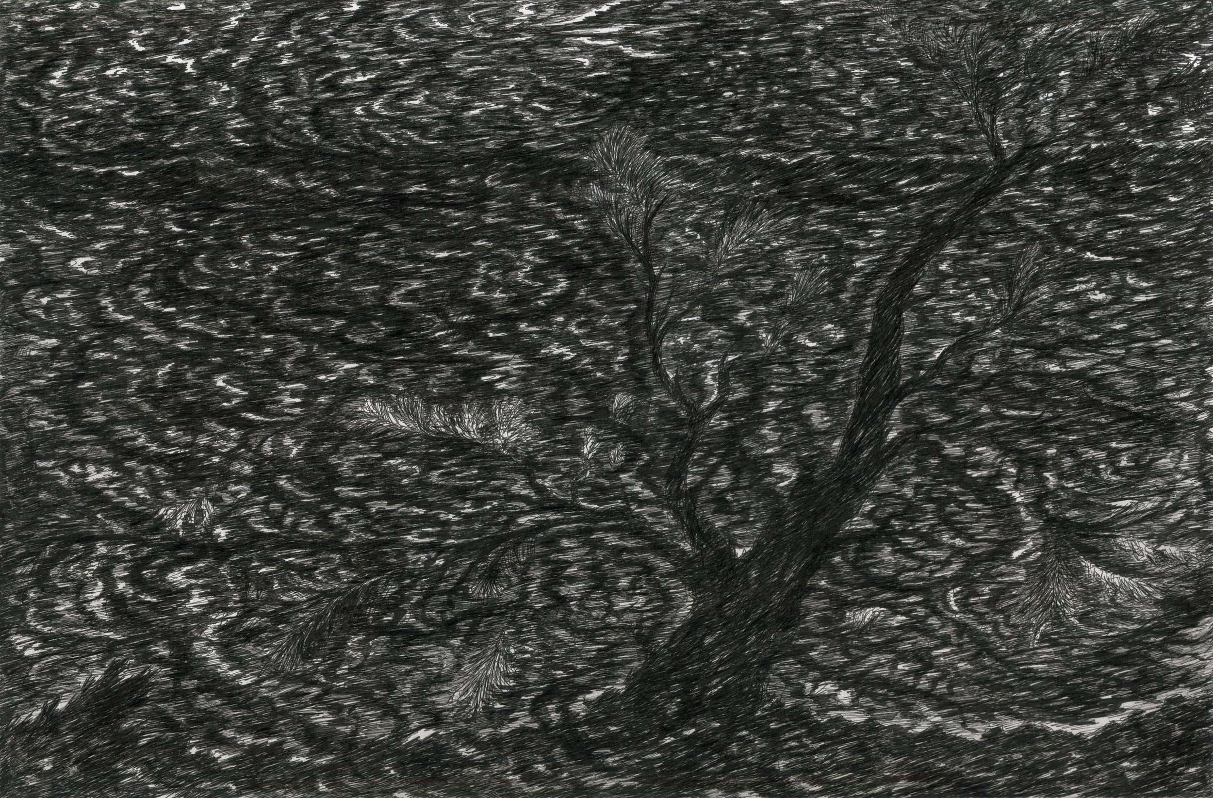   Ink on cardstock, 17 × 11 inches, 2025 