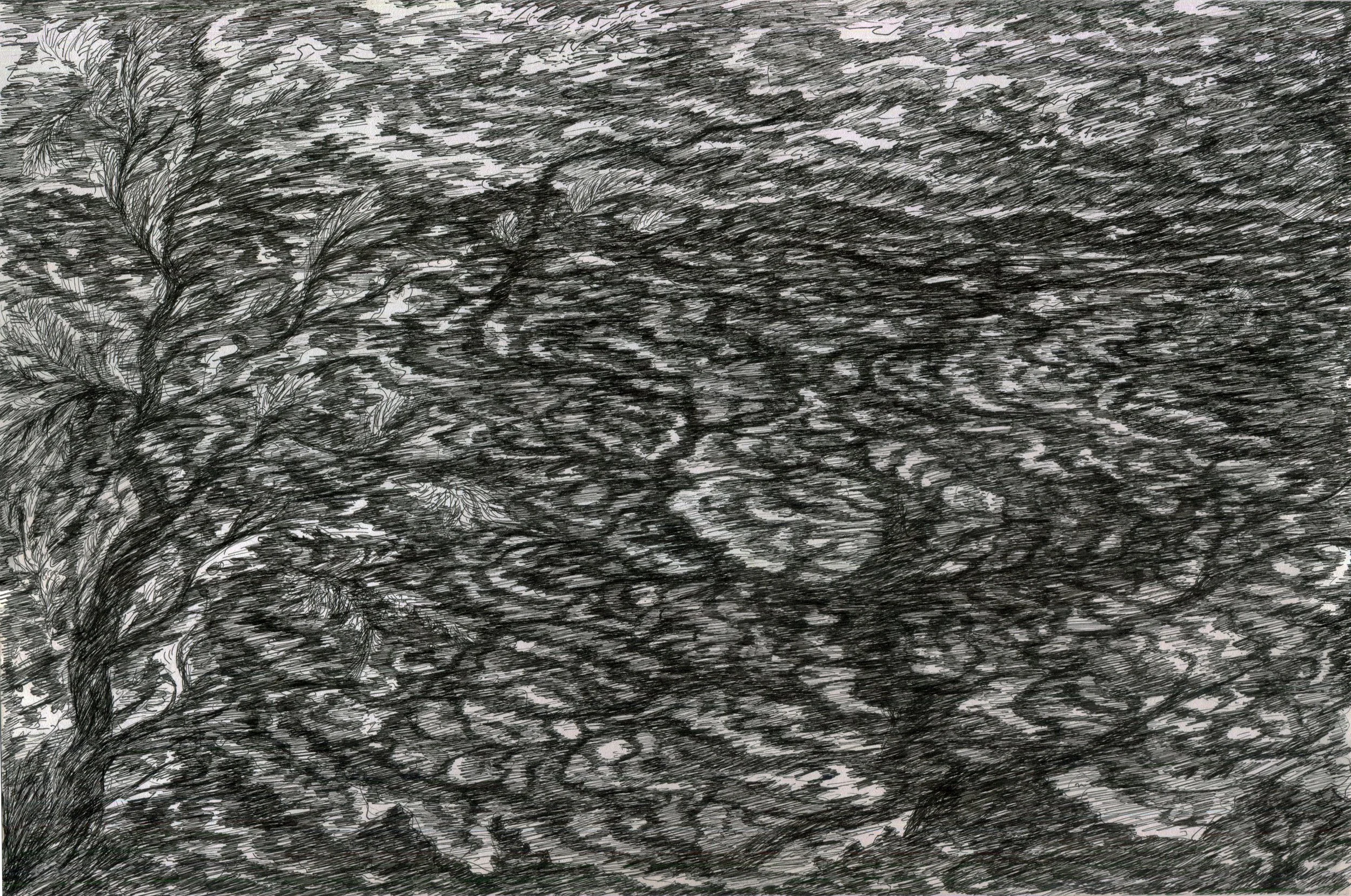   Ink on cardstock, 17 × 11 inches, 2025 