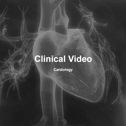 Screenshot 2026-01-28 121922.png