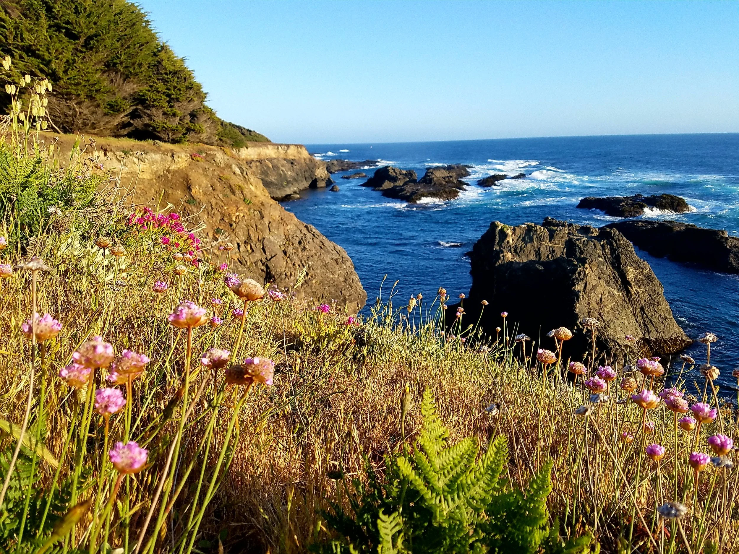 Glendeven Inn Mendocino A North Coast California Bed And Breakfast Inn