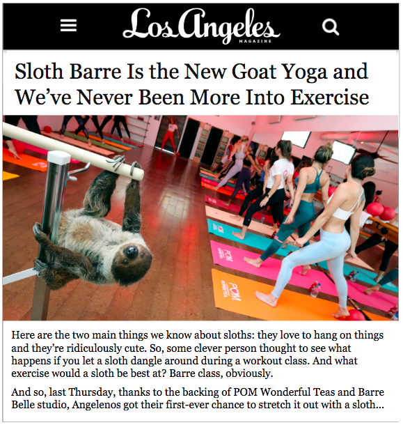 POMslothLAmagcomp.png