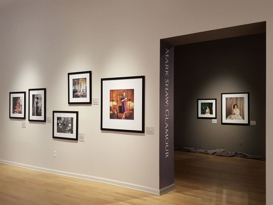 pvac-gallery-installation2.jpg