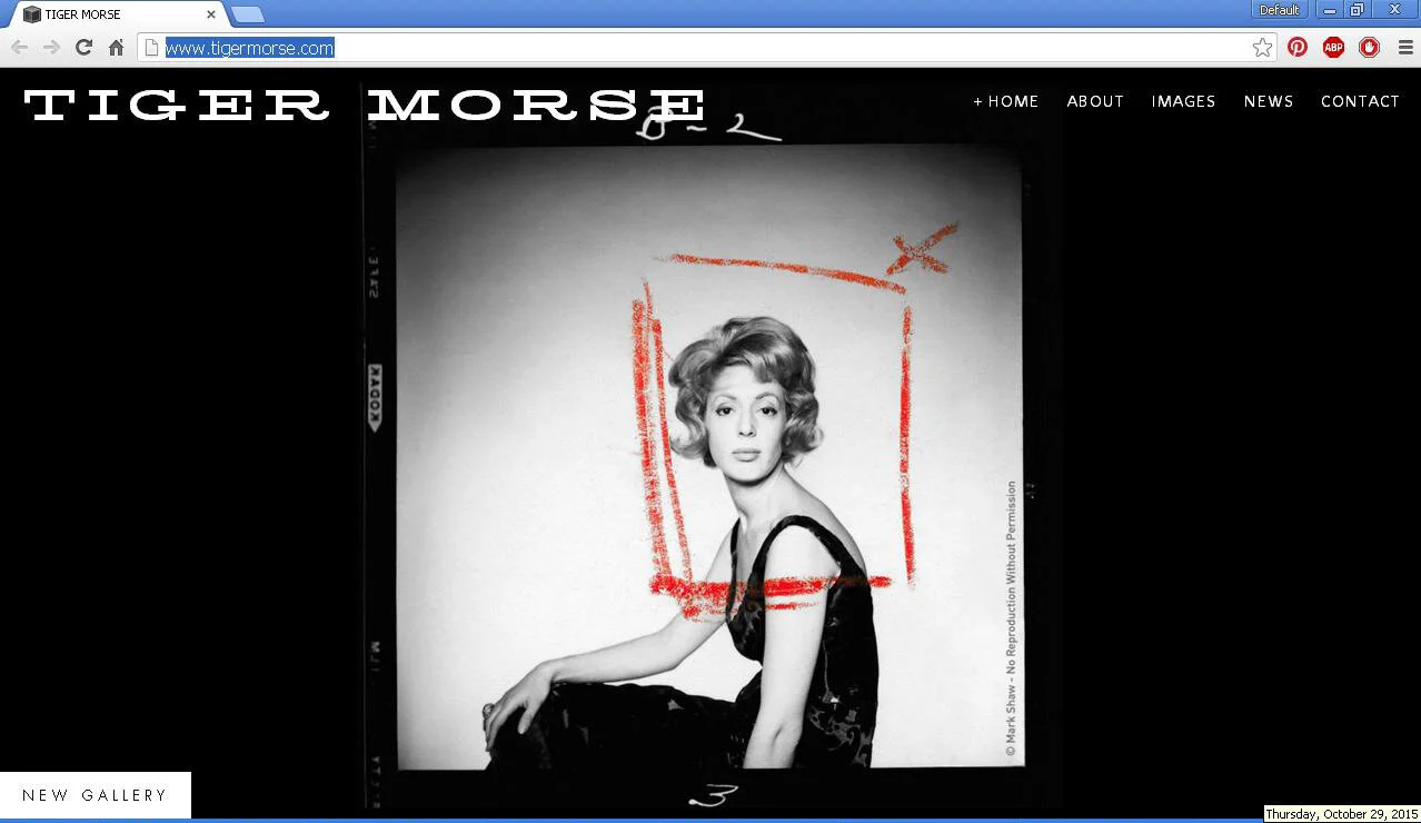 TIGER MORSE WEBSITE