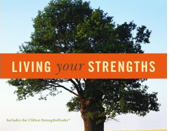 livingyourstrengths_english_protestant.jpeg