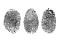 fingerprints.png