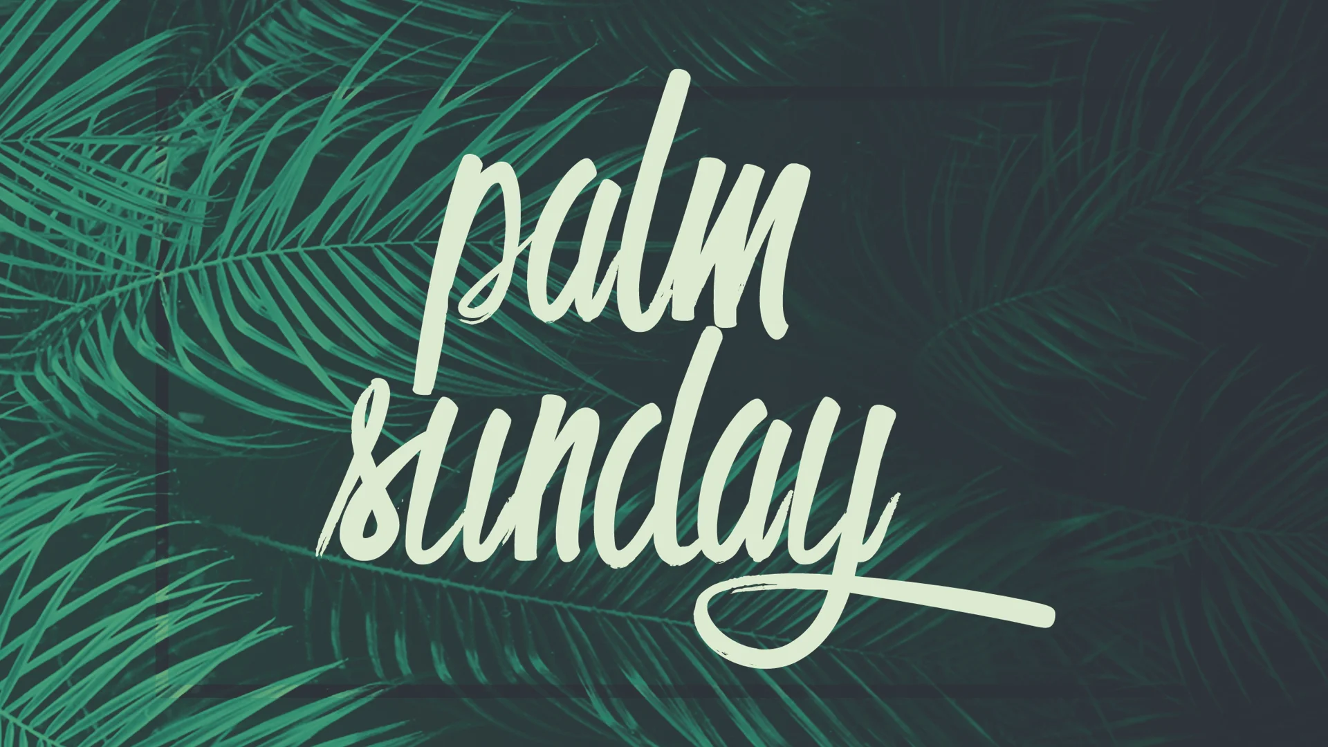 Palm Sunday -- Reflections on Leadership