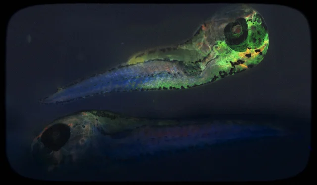 above-and-below.jpg