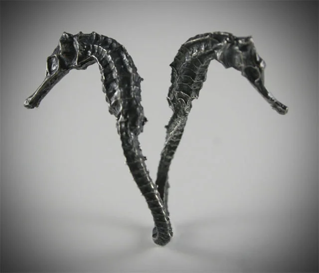 doubleseahorse640.jpg