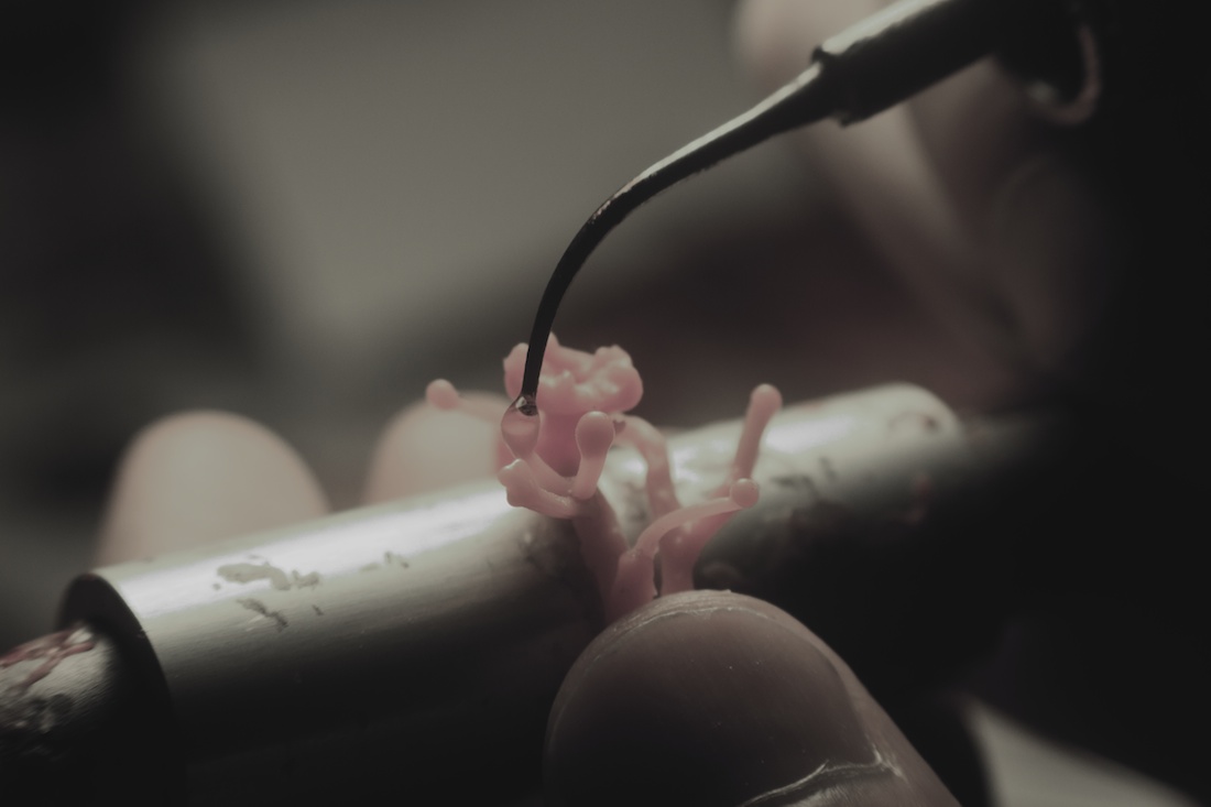 Melting wax to create buds. Close-up shot by Reuben Warburton .