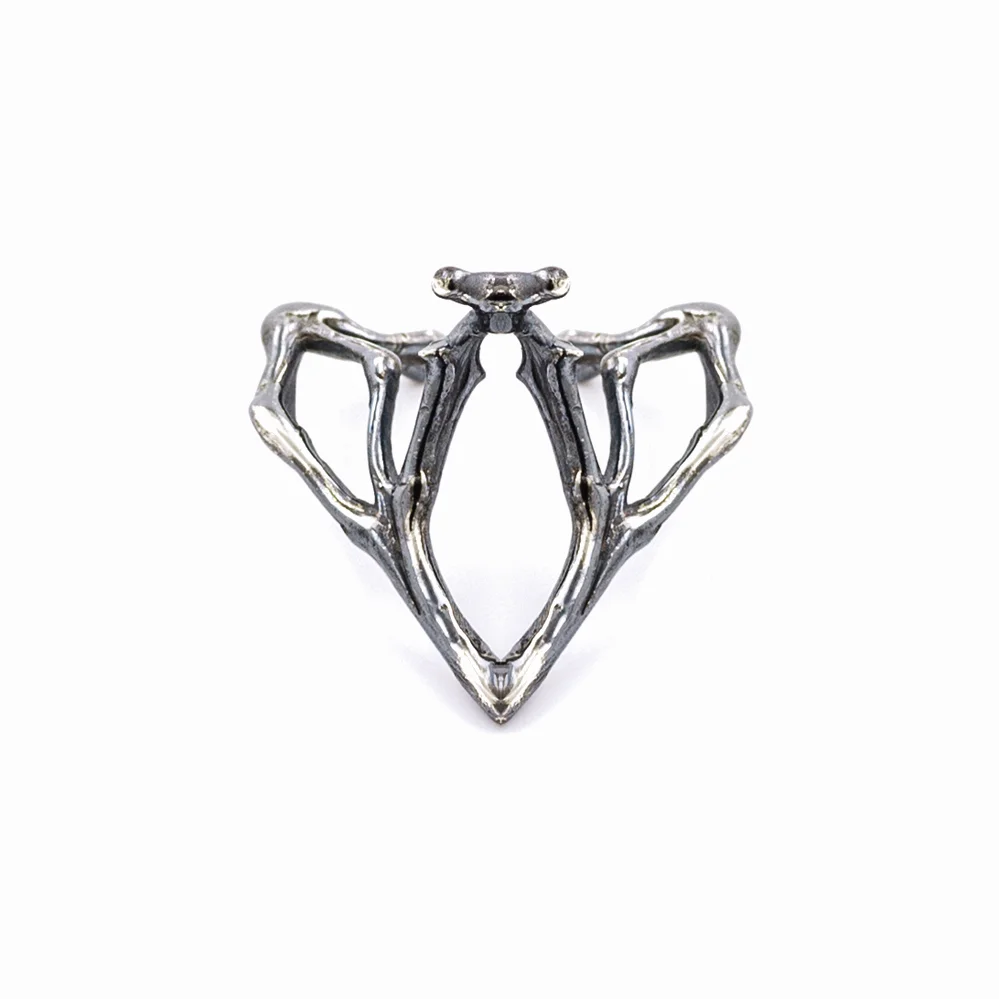 Ellipse Septum