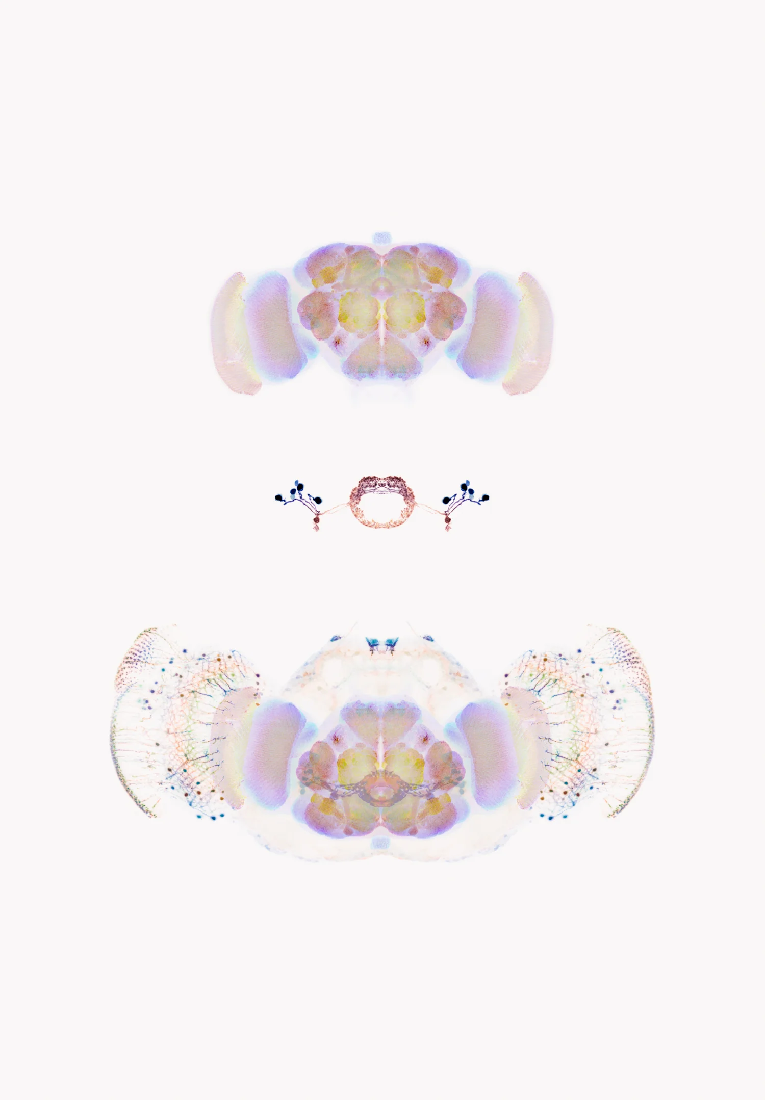 82x57.jpg
