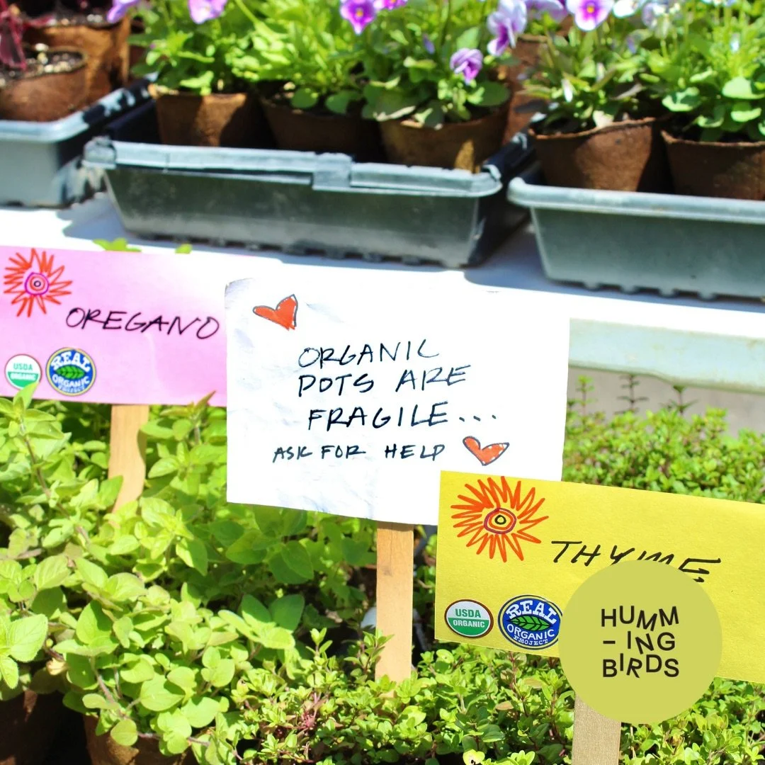 Hummingbirds-Cincinnati-Farmers_Market_Season-Northside-Madeira-Hyde_Park-Milford-Findlay_Market-2.jpeg