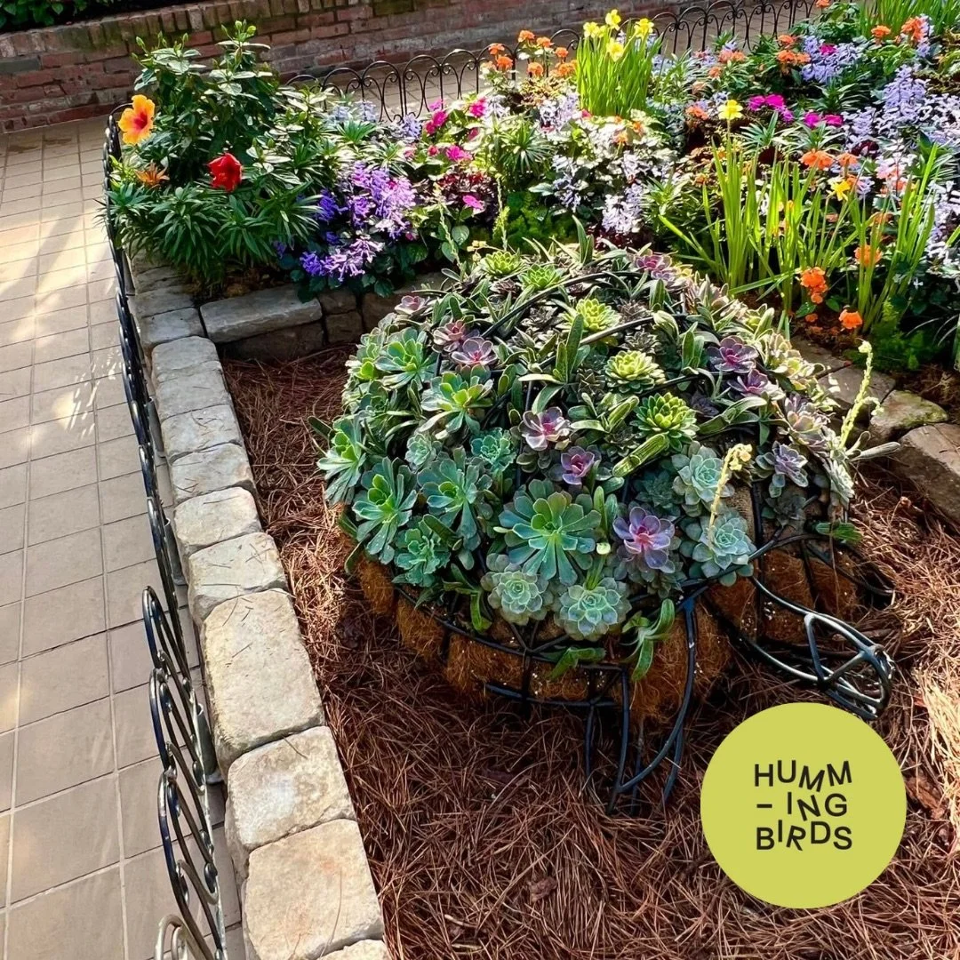 Hummingbirds-Cincinnati-Cincinnati_Parks-Krohn_Conservatory-Emerge_Spring_Flower_Show_2.jpeg