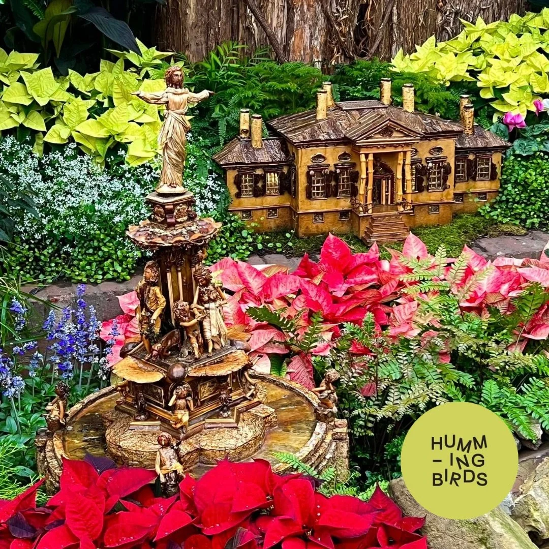 Hummingbirds-Cincinnati-Cincinnati_Parks-Krohn_Conservatory-Solstice_Glow_Holiday_Show_2.jpeg