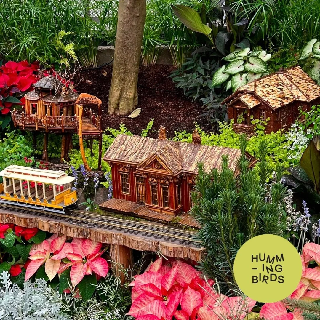 Hummingbirds-Cincinnati-Cincinnati_Parks-Krohn_Conservatory-Solstice_Glow_Holiday_Show_7.jpeg