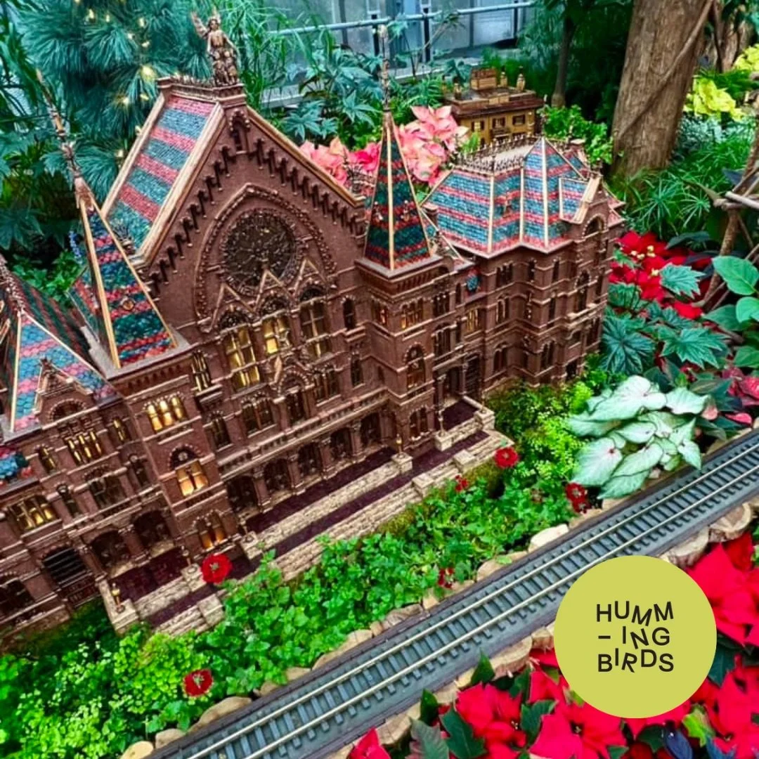 Hummingbirds-Cincinnati-Cincinnati_Parks-Krohn_Conservatory-Solstice_Glow_Holiday_Show_8.jpeg
