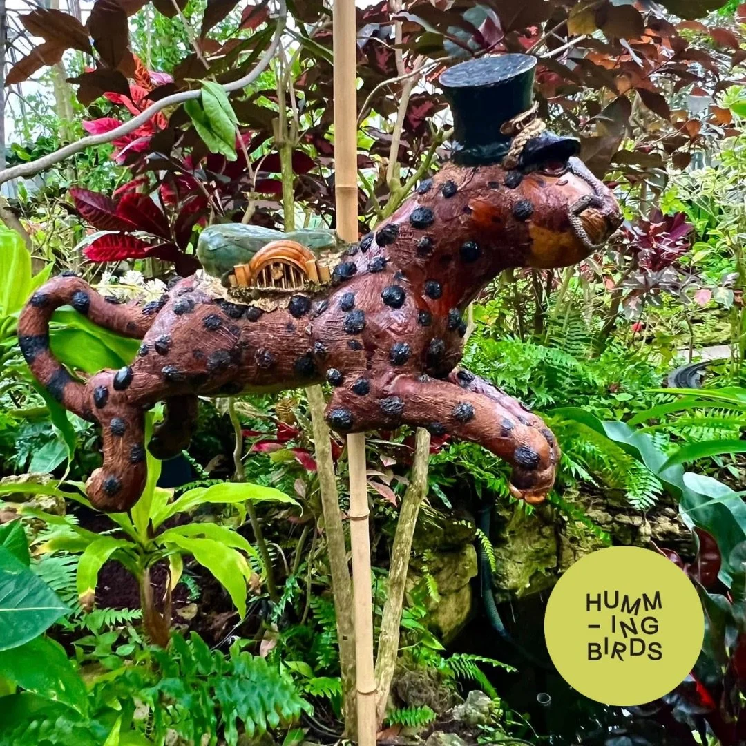 Hummingbirds-Cincinnati-Cincinnati_Parks-Krohn_Conservatory-Solstice_Glow_Holiday_Show_16.jpeg