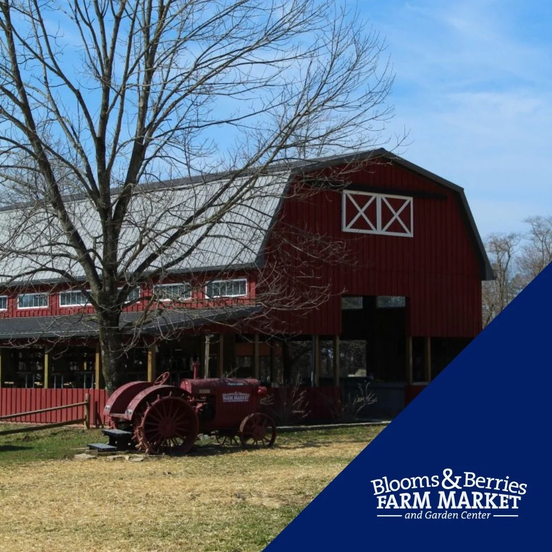 Blooms_and_Berries_Farm_Market-Loveland_Ohio-3.jpeg