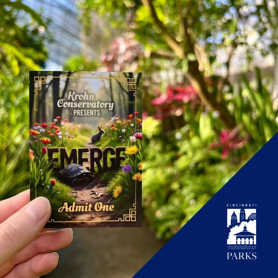 Cincinnati_Parks-Krohn_Conservatory-Emerge_Spring_Show.jpeg