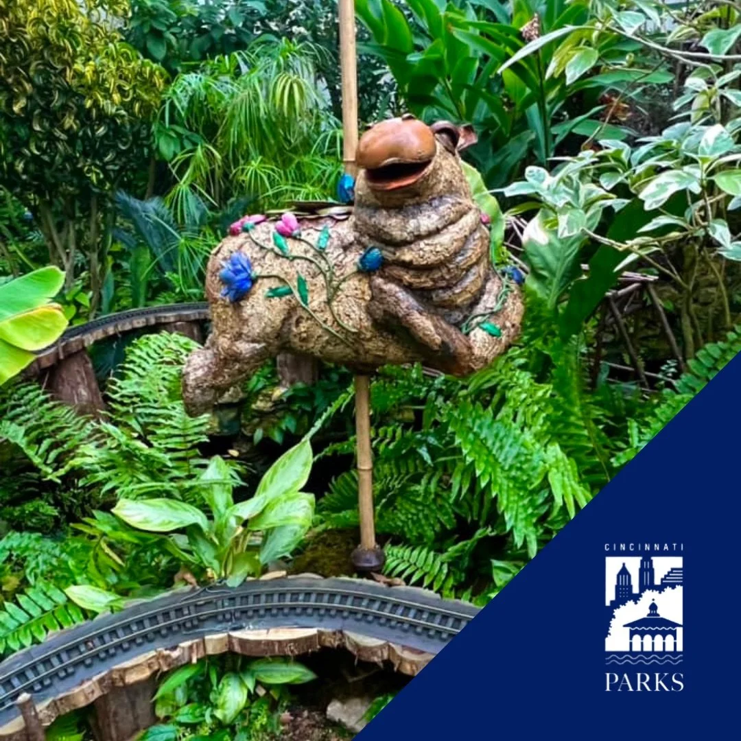 Cincinnati_Parks-Krohn_Conservatory-Holiday_Show_2.jpeg