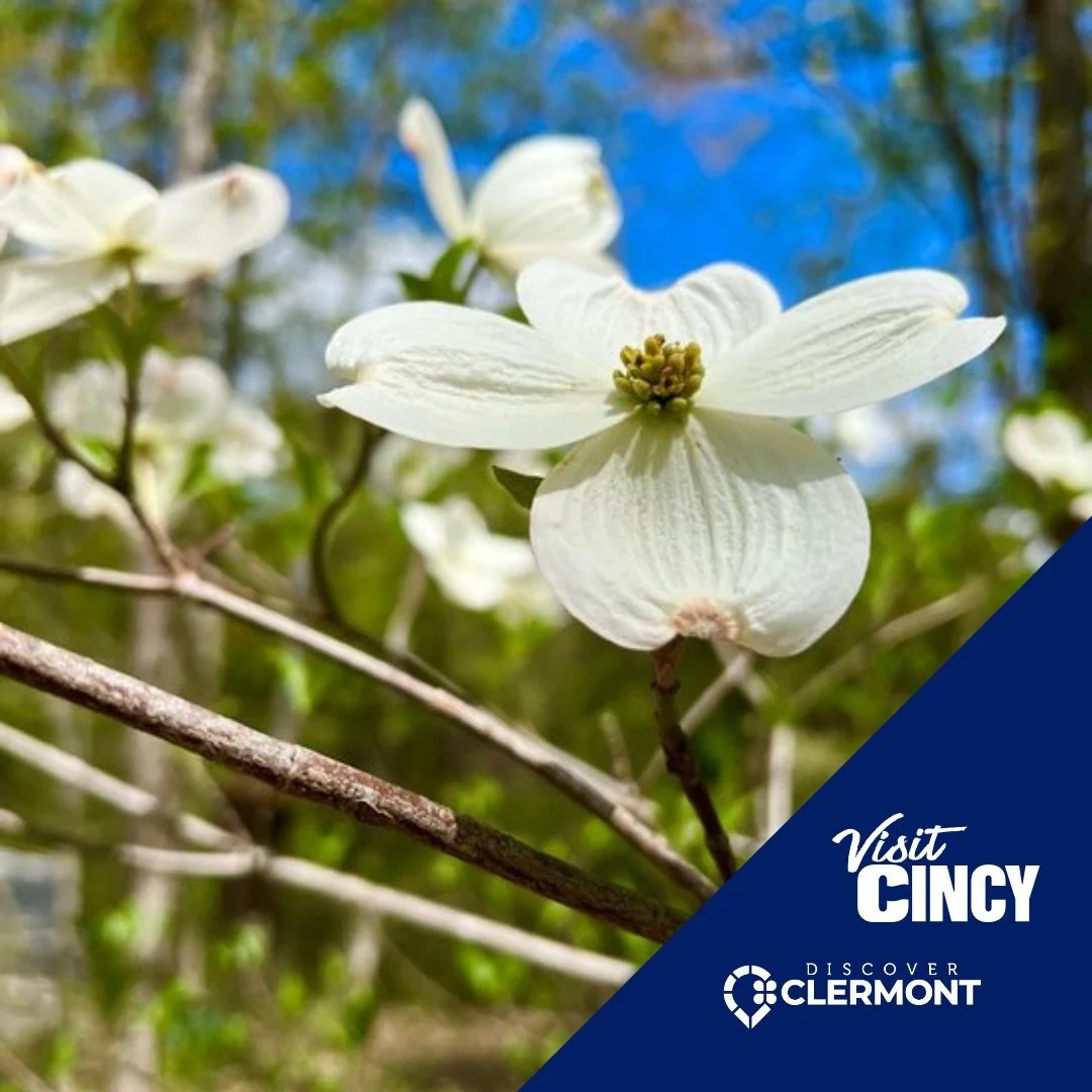 Cincinnati_Visitors_Bureau-Clermont_County_Visitors_Bureau-Cincinnati_Nature_Center-1.jpeg
